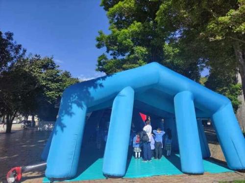 actividades-ludico-pedagogicas-primaria-2022-9