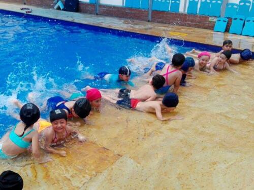 ludicas-2018-19