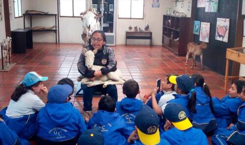 salida-pedagogica-primaria-2019-12