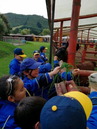 salida-pedagogica-primaria-2019-15
