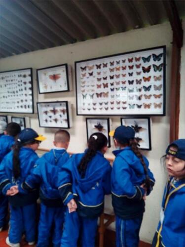 salida-pedagogica-primaria-2019-18
