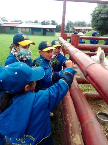 salida-pedagogica-primaria-2019-20