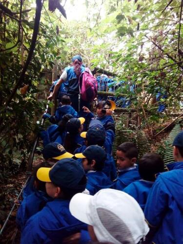 salida-pedagogica-primaria-2019-21