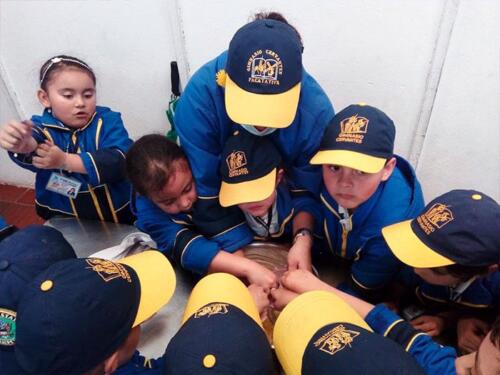 salida-pedagogica-primaria-2019-6